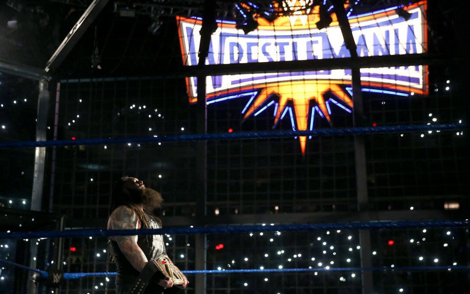 Bray embraces the moment after winning the WWE Championship.